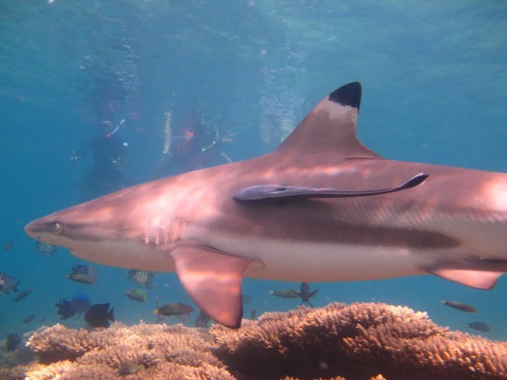 Ombak Dive Resort Pulau Perhentian Kecil Екстер'єр фото